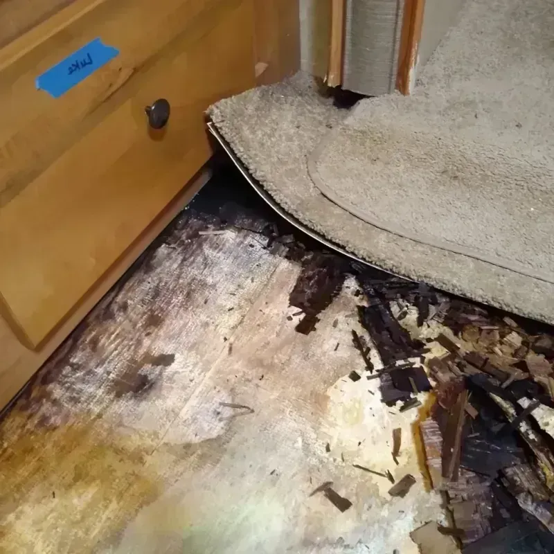 Wood Floor Water Damage in Friendly, MD